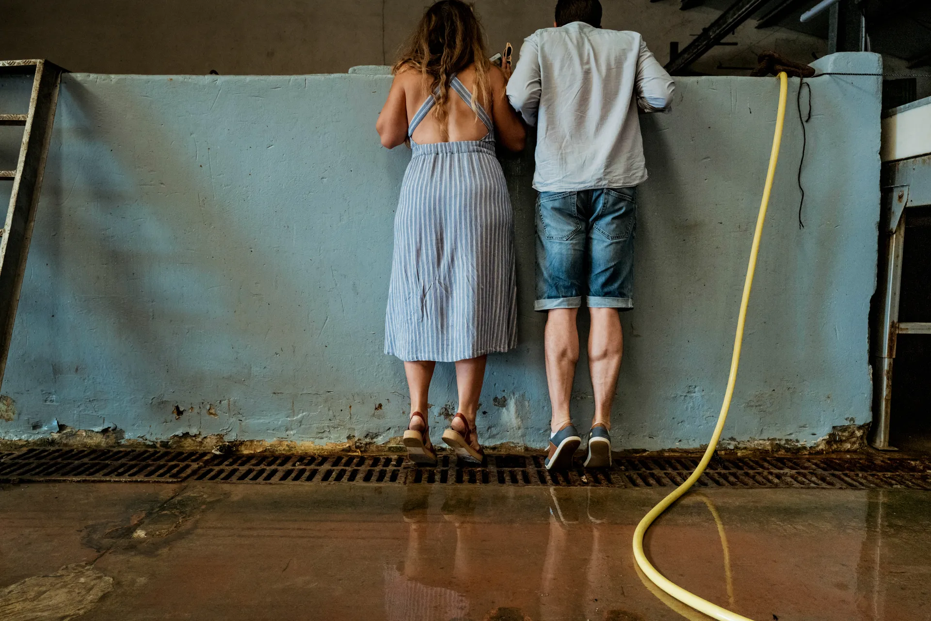 visite d'un mas ostréicole, coup d'œil dans un bassin surélevé