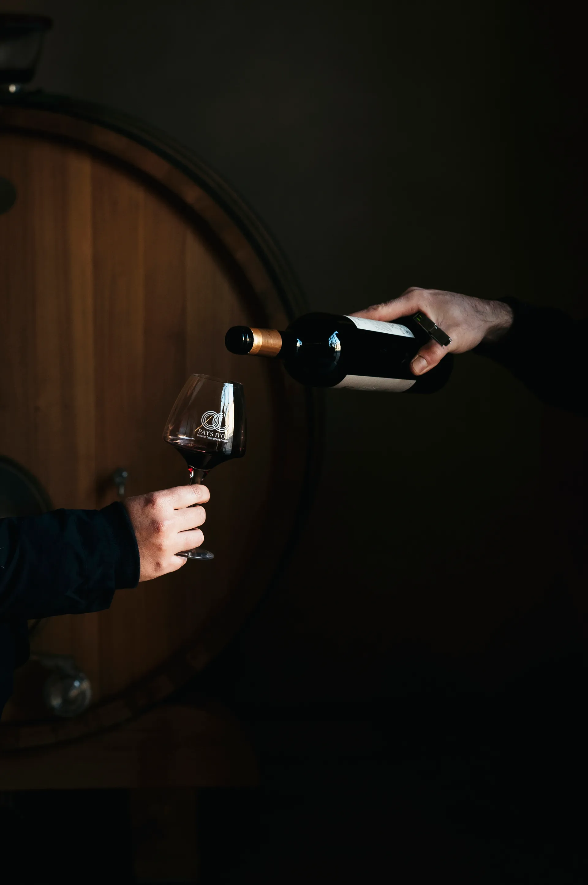 dégustation de vin dans une cave de l'Hérault