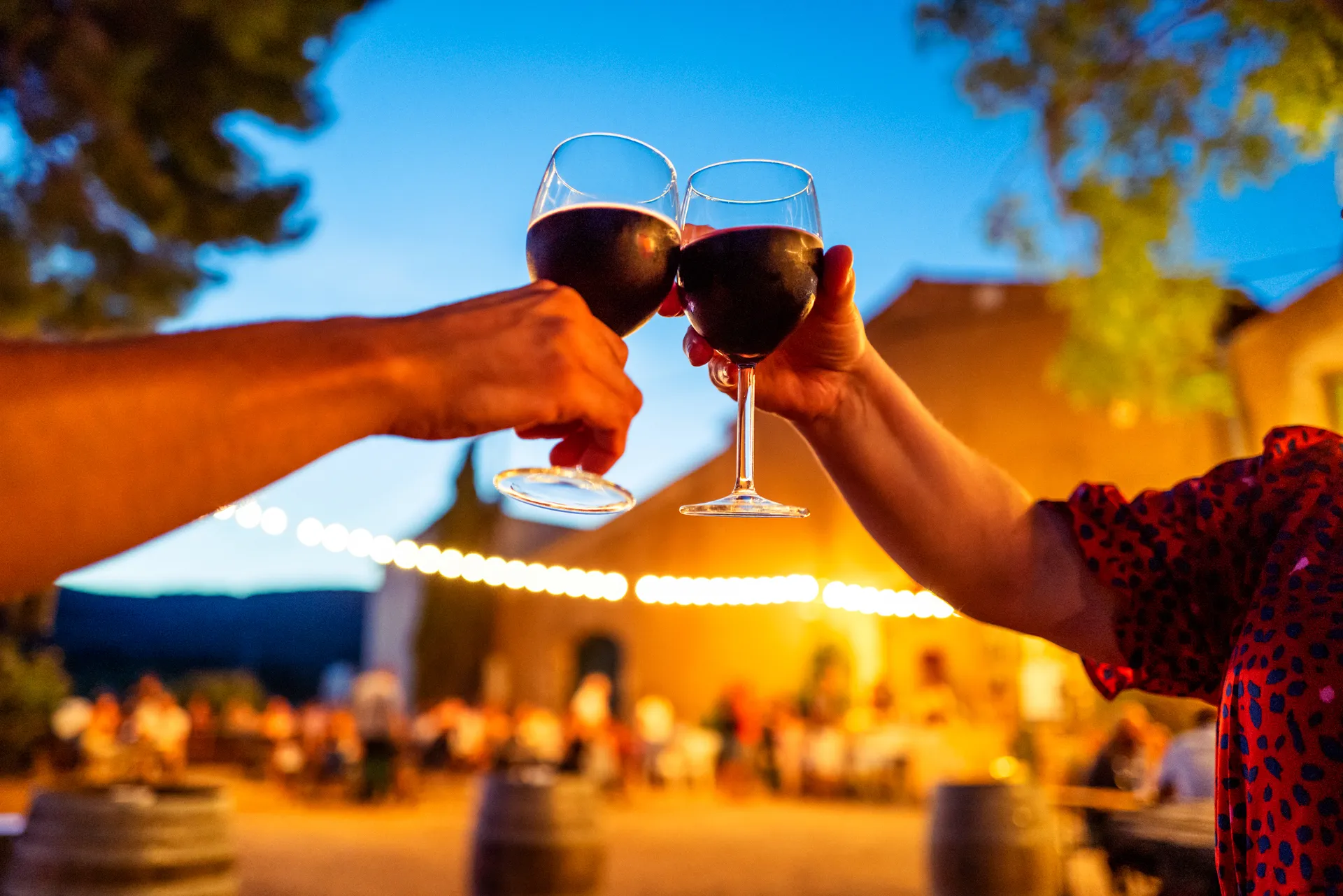 on trinque à la fête des vendanges au domaine la Plaine à Fontignan