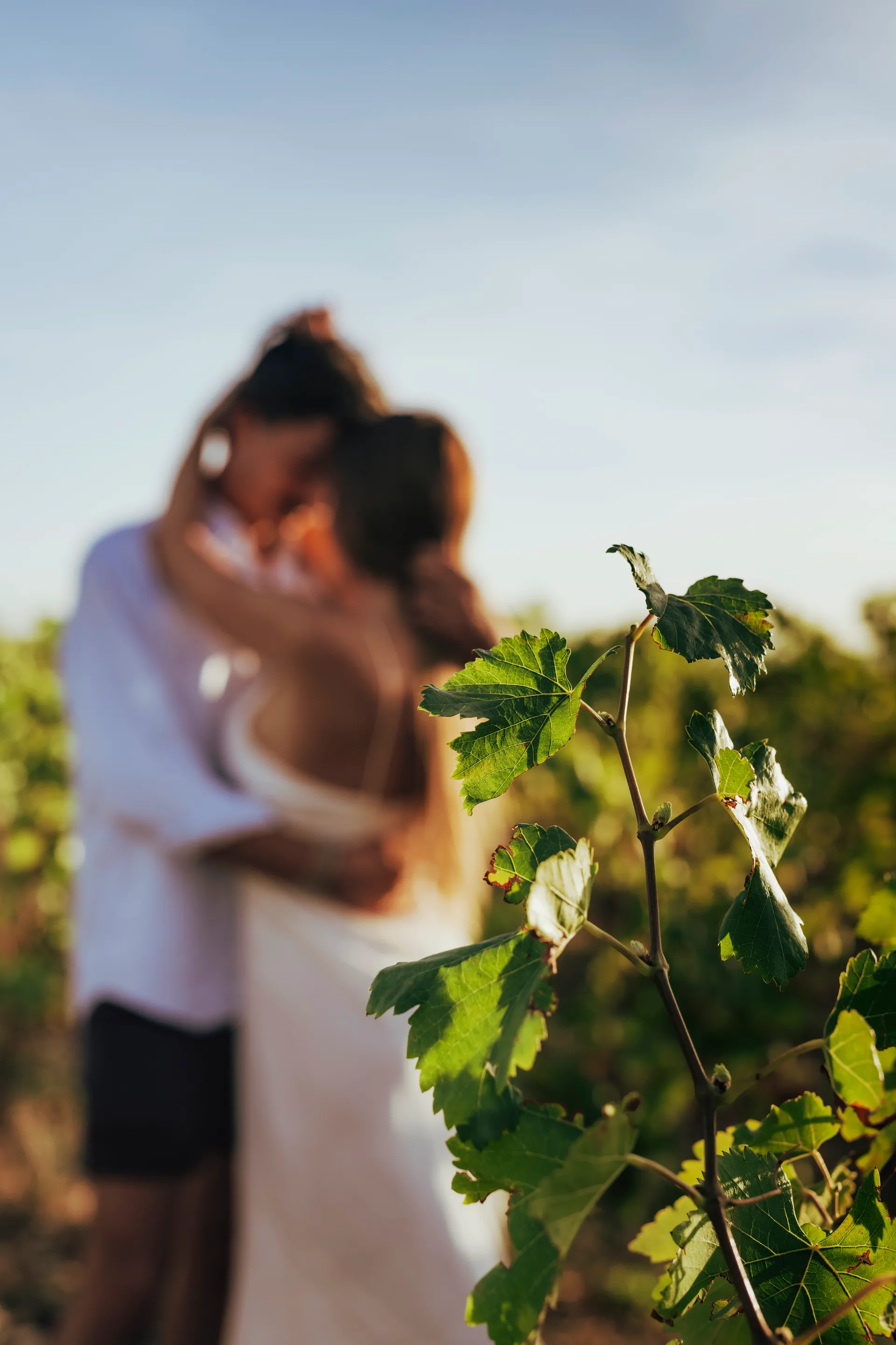 moment intime dans les vignes au coucher du soleil