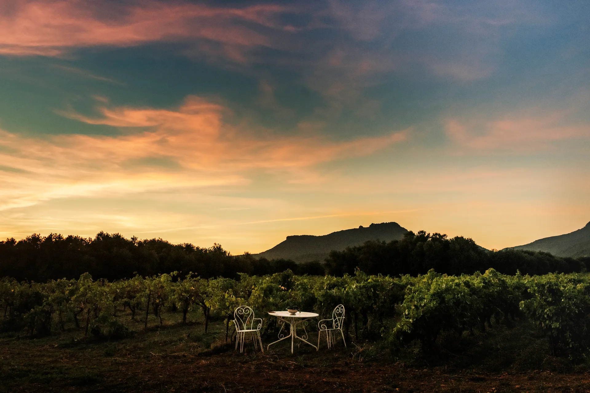 table dans les vignes à Montpeyroux